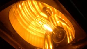 den cao ap voi anh sang cam pho bien